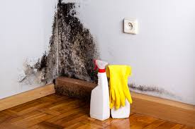 Best Asbestos and Lead Testing During Mold Inspection  in Marion, IA